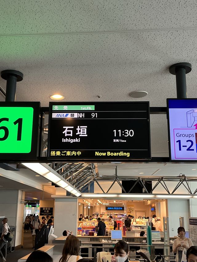 ANA好き必見！お得に買い物、マイルも貯まる！