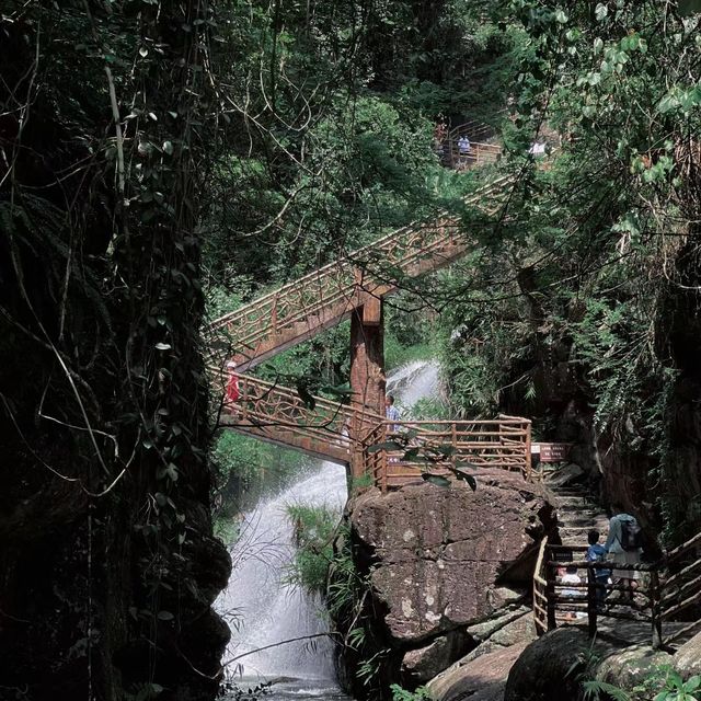 🌲🏞️ 白神山地～沐浴在溪流瀑布的清涼中！💦🌄🚶