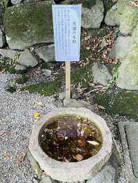 【大阪府/一言主神社】一言願いをかける札