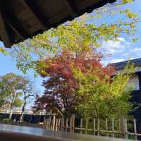 【知多半島】半六庭園で紅葉鑑賞