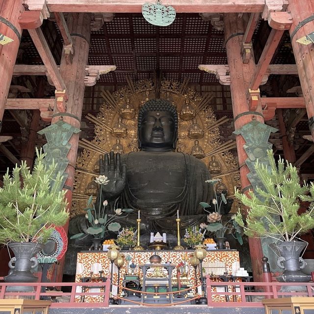 ไหว้พระใหญ่ วัดโทไดจิ จ.นารา