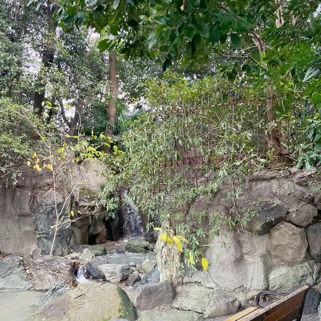 まるでサバンナ？天王寺動物園