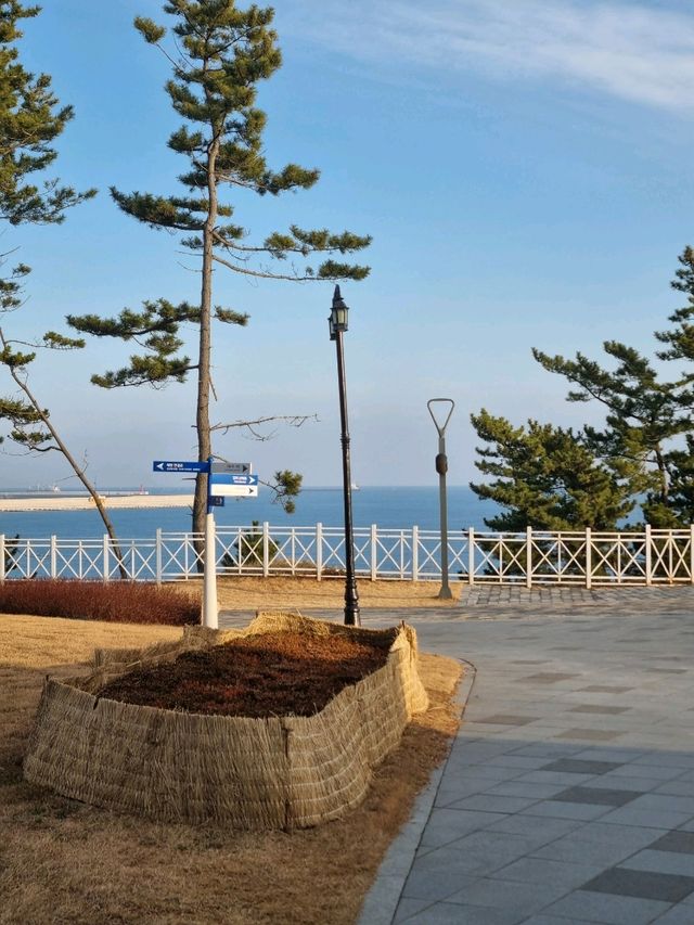 압도적인 뷰의 쏠비치 삼척