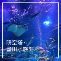 晴空塔🗼墨田水族館🐠欣賞魚兒午餐秀