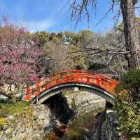 下鴨神社⛩️祈求戀愛順利🫶🏻京都隱世景點