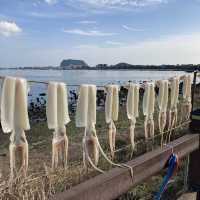 제주 올레의 역사가 시작된 올레길 1코스