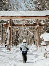 Traveling to Nagano in winter❄️