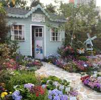 花卉展—18區花卉園景爭艶