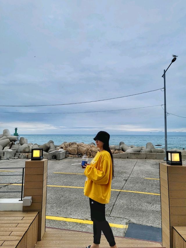 액자뷰 프레임에 담긴 오션뷰가 완벽한 기장카페🌊