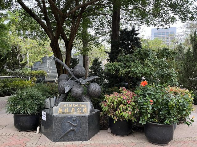 傳統嶺南風格嘅中式庭園 @ 荔枝角公園