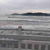 宮崎県「青島神社」海とジャングルのパワースポット