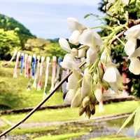 羽根谷だんだん公園