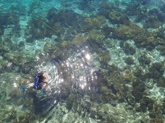 #no filter🌊純天然碧海藍天美人魚🧜🏻‍♀️