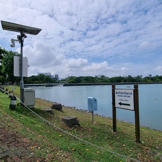 Macritchie Reservoir Like Never Before