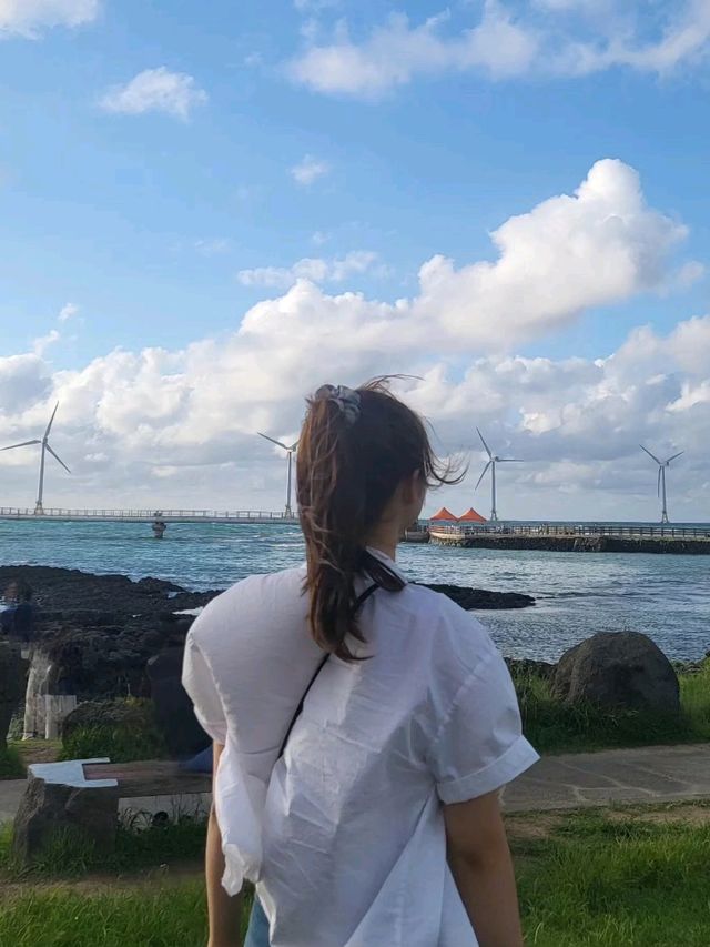 돌고래 + 바다 + 등대 + 풍차 = ?
