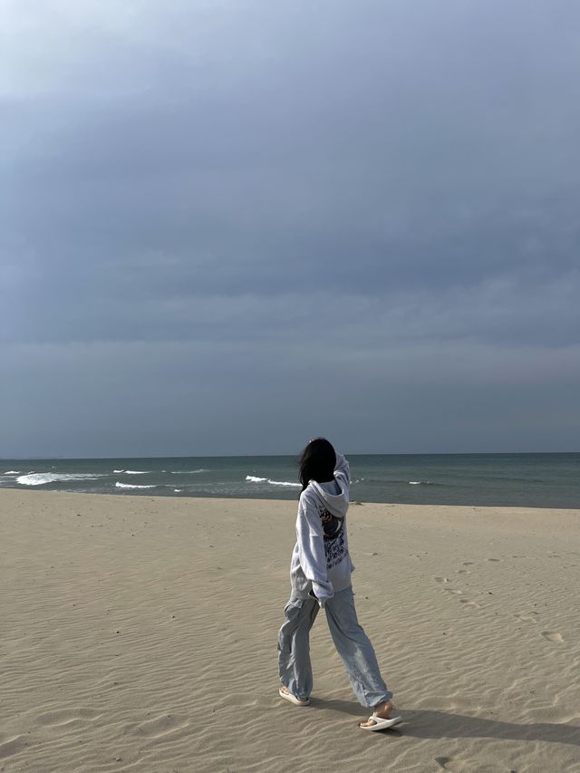 여름에 서퍼들로 붐비는 HOT한🔥곳. 양양 서피비치🏄‍♂️