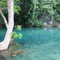 Cao Bang, nature's unsploied paradise