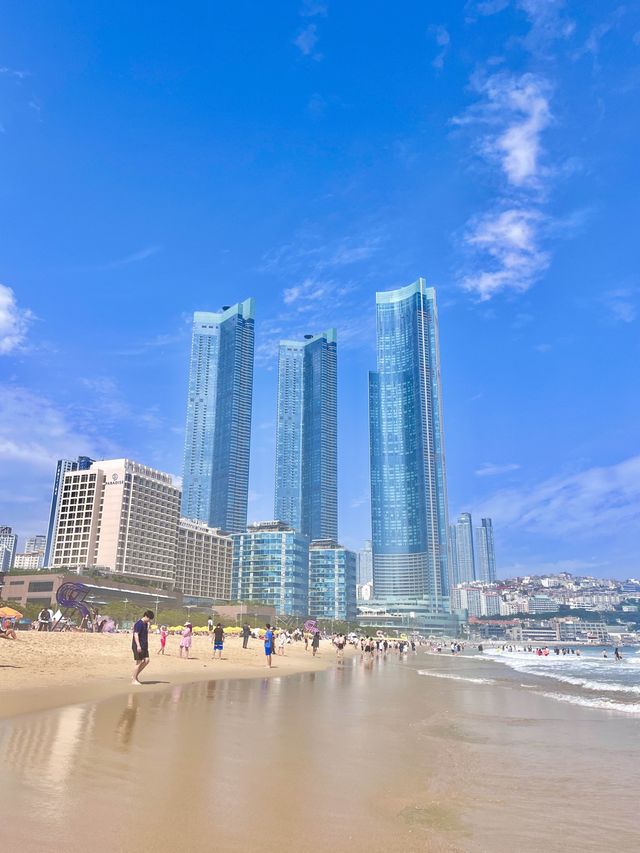 여름 휴가철 해수욕장은 역시 해운대🏖️ 여름 휴가철 해수욕장은 역시 해운대🏖️