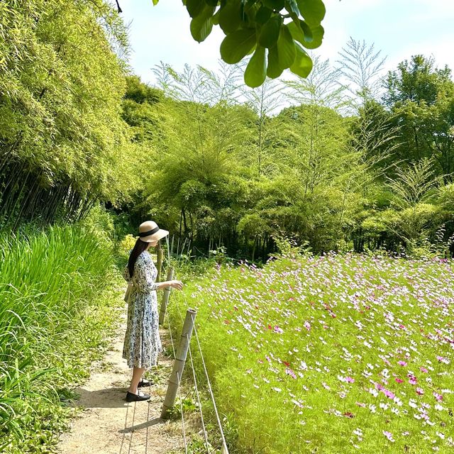 400년 세월이 깃든 아홉산숲