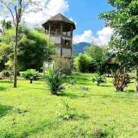 Amazing our jungle house 
