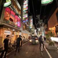 Osaka night lights at the Dotombori