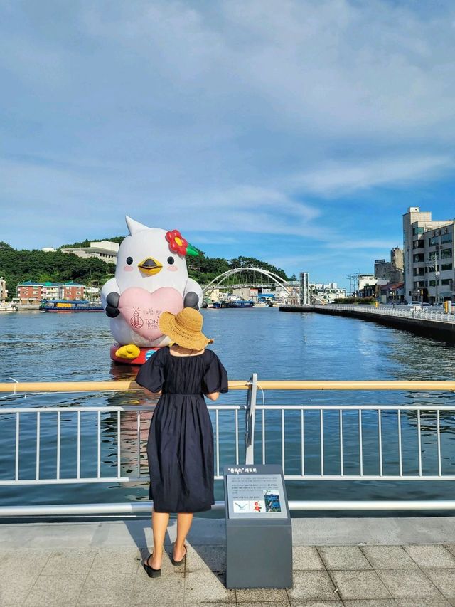 통영항 바다위 사랑스런 동백이랑 눈맞춤🌺