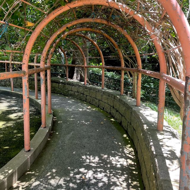 🌈隱世後花園-中葵涌公園