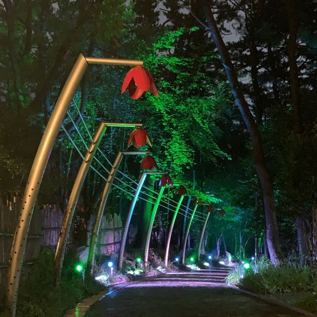 국내 최장 야간 빛의 정원, 통영 디피랑