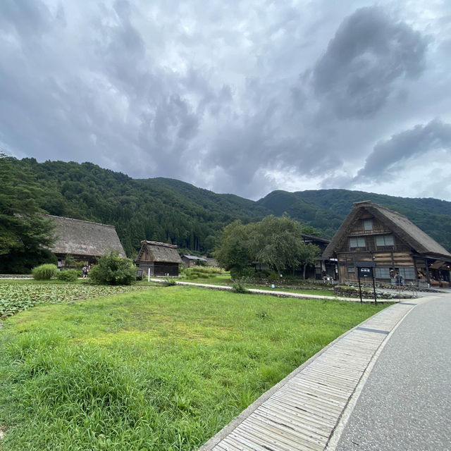 夏天的日本白川鄉