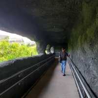 Mandai's Hidden Gem - The Gateway to Paradise