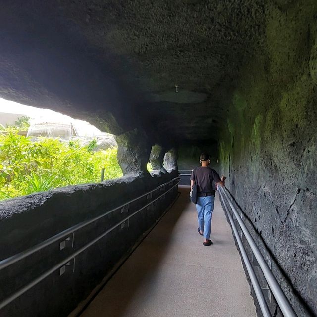 Mandai's Hidden Gem - The Gateway to Paradise