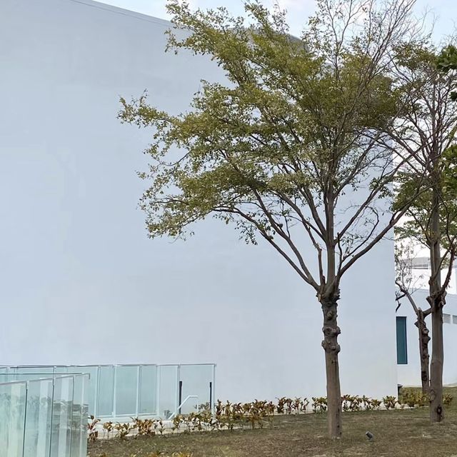 🎨白色的藝術奇蹟🎨🏛️內惟藝術中心✨ 