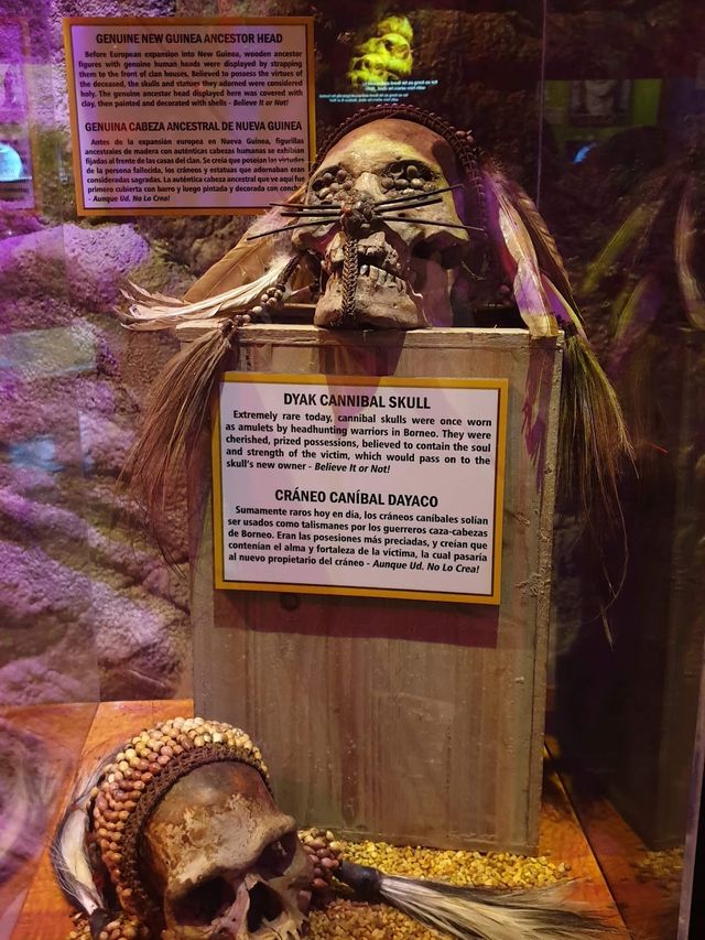 Guinness World Records Museum 🧩✨