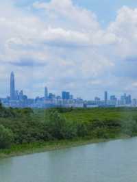 自然樂活🌿🌸🌆 香港濕地公園