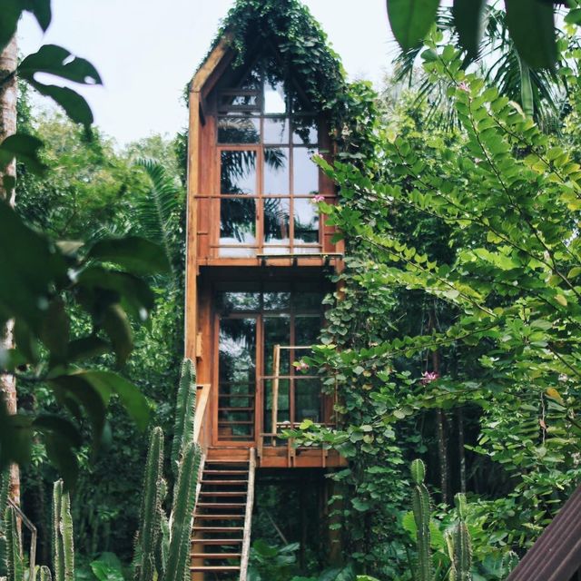 บ้านไร่ ไออรุณ  baan rai i arun