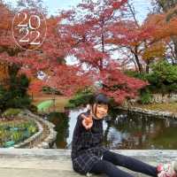 ฤดูใบไม้ผลิ 西山公園