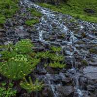 🏞️🌄 河源越王山風景區～俯瞰壯麗景緻！⛰️🏕️🚀 