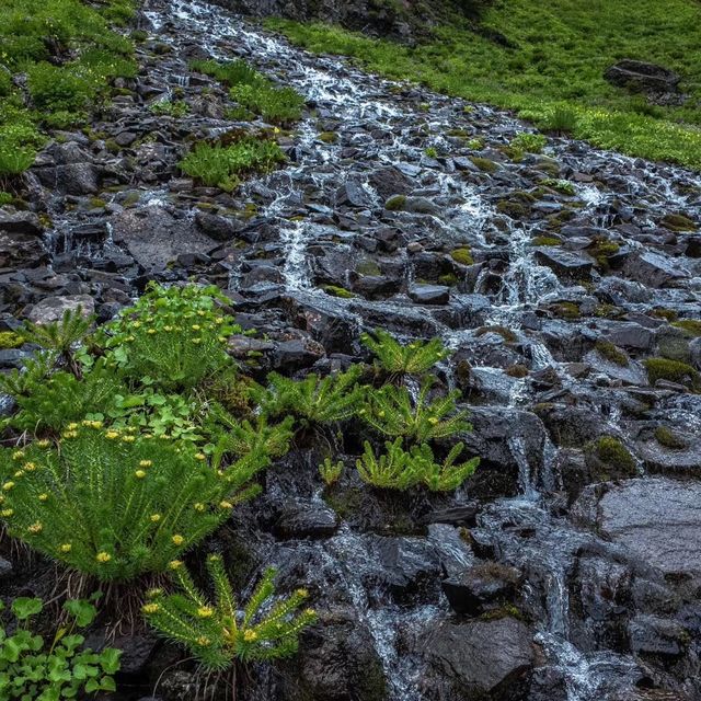 🏞️🌄 河源越王山風景區～俯瞰壯麗景緻！⛰️🏕️🚀 