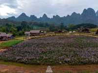 ไร่ภูผาหมวก