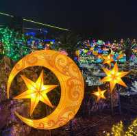 The Grand Illumination in Izu (7th Season) 