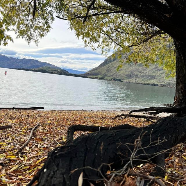 Lake Wanaka in Autumn