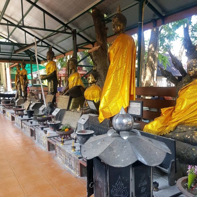 ไหว้พระธาตุคนปีเกิดปีมะเส็ง วัดเจ็ดยอด เชียงใหม่