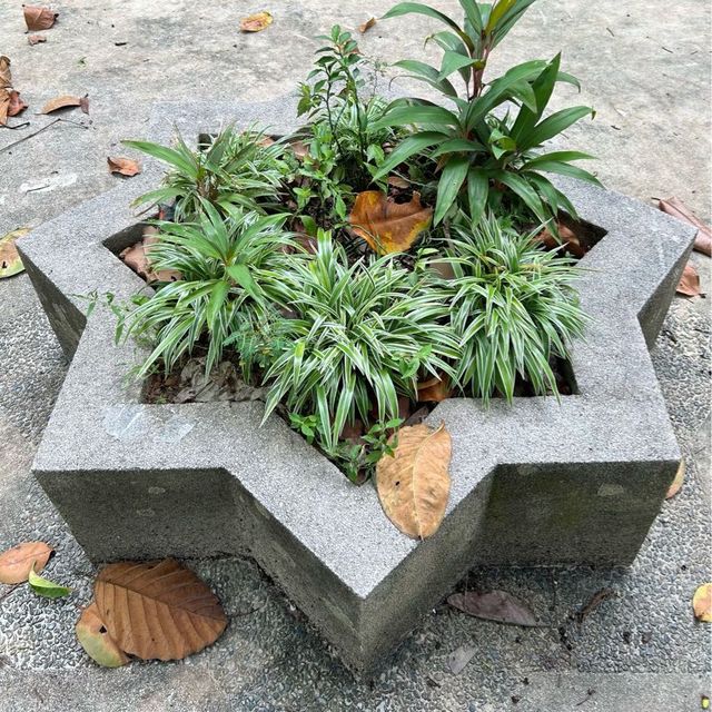 不經意地走進國家天文館