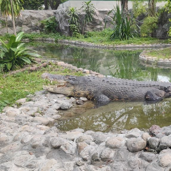 馬尼拉動植物園