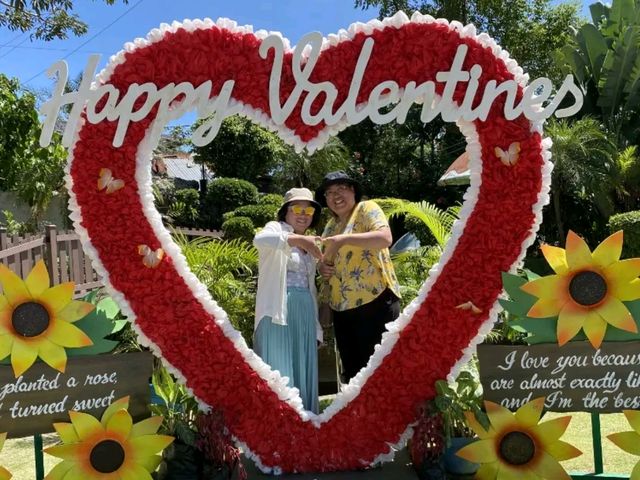 🌞陽光🏝海灘下的宿霧情人節❤