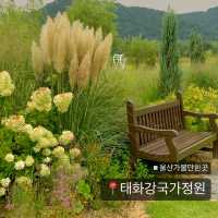 태화강국가정원에서 하루종일 노는 법
