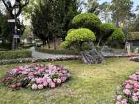 保存了多處歷史古蹟嘅九龍寨城公園