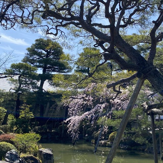 平安神宮内の日本庭園で四季を感じる旅