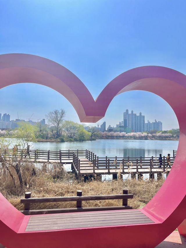 수원 벚꽃명소 🌸만석공원🌸