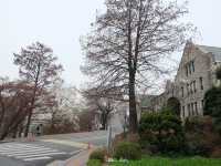 หนีร้อน…ไปเดินชิคที่ Ewha Woman University 